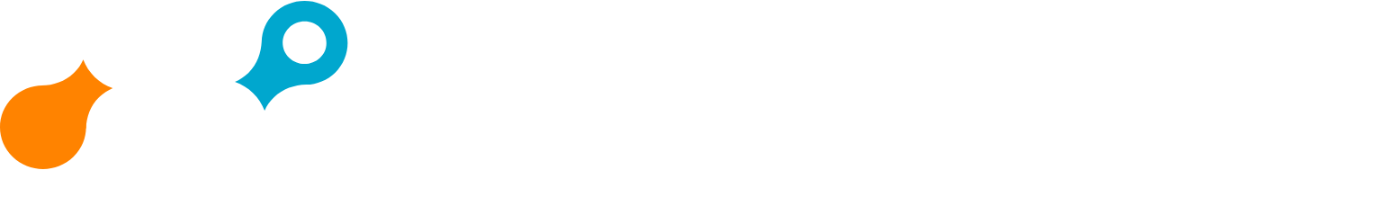 Netskope logo fulle size on a dark background (transparent PNG)