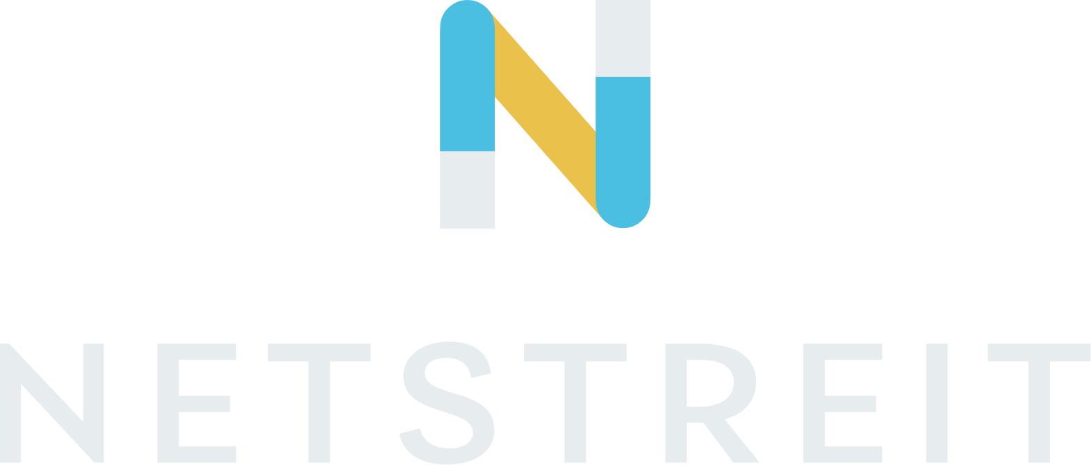 Netstreit logo fulle size on a dark background (transparent PNG)