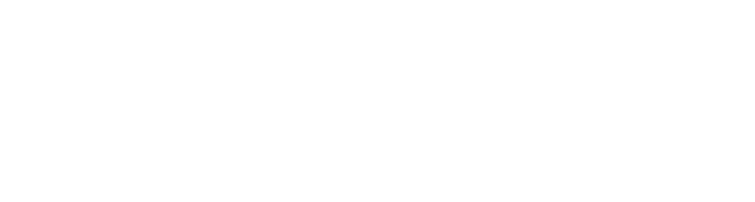 Nucleus Software Exports logo fulle size on a dark background (transparent PNG)