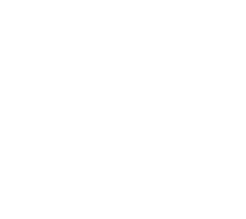 NuZee logo for dark backgrounds (transparent PNG)