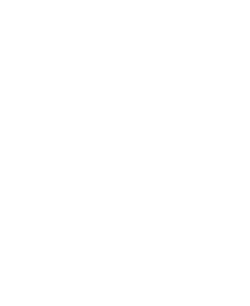 NuZee logo large for dark backgrounds (transparent PNG)