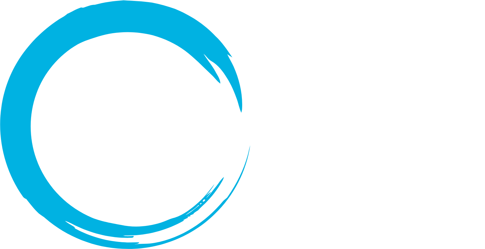 Nuvectis Pharma logo grand pour les fonds sombres (PNG transparent)