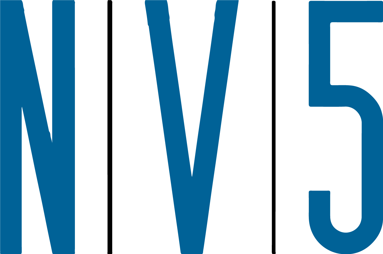 NV5 Global
 Logo (transparentes PNG)