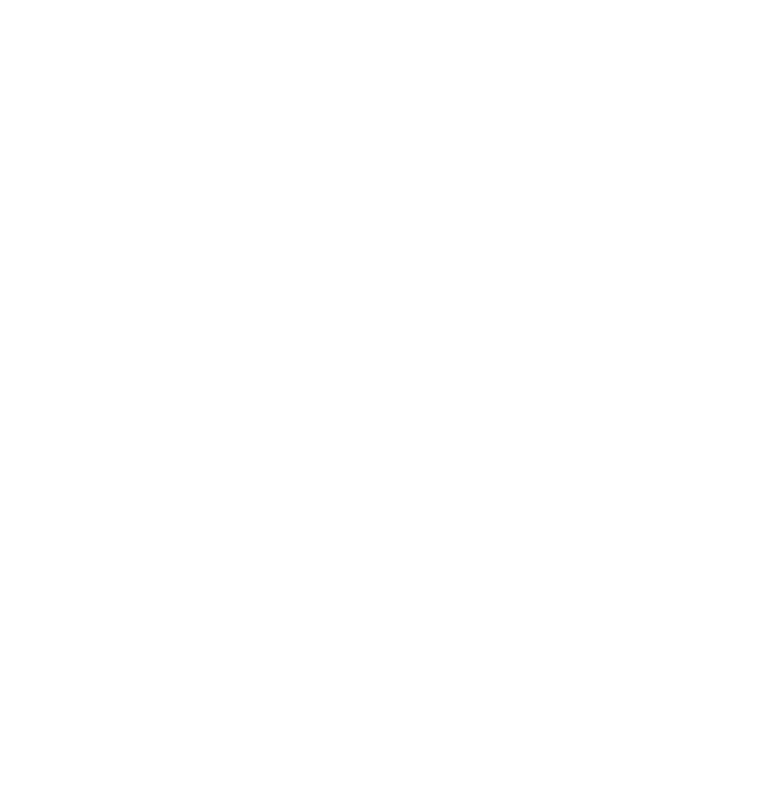 The Navigator Company
 logo on a dark background (transparent PNG)