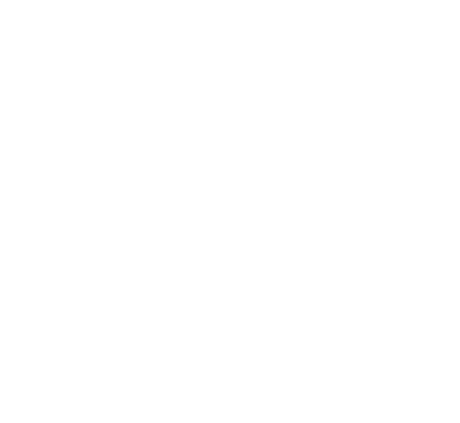 Navigator Holdings logo pour fonds sombres (PNG transparent)