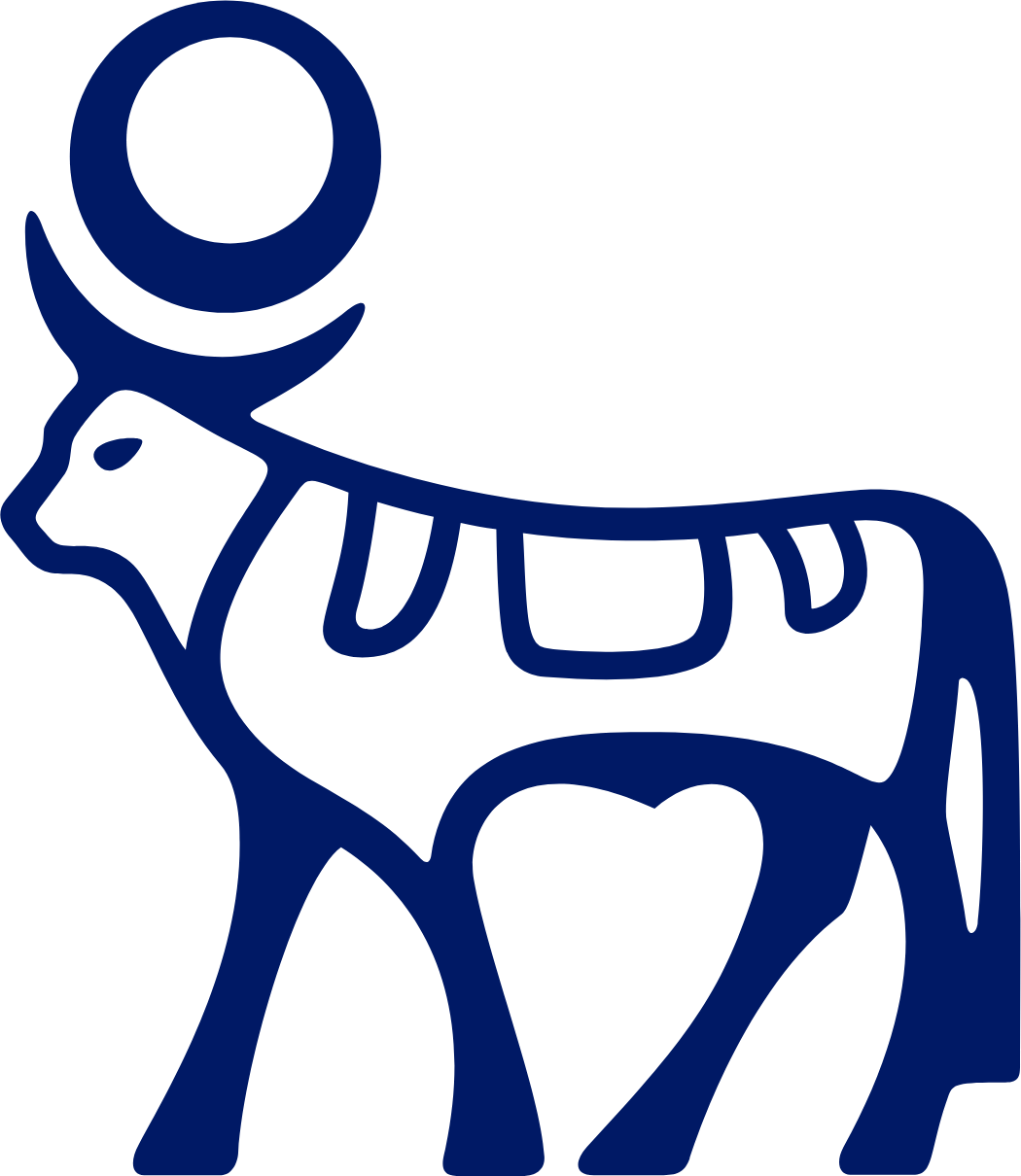 Novo Nordisk logo (transparent PNG)