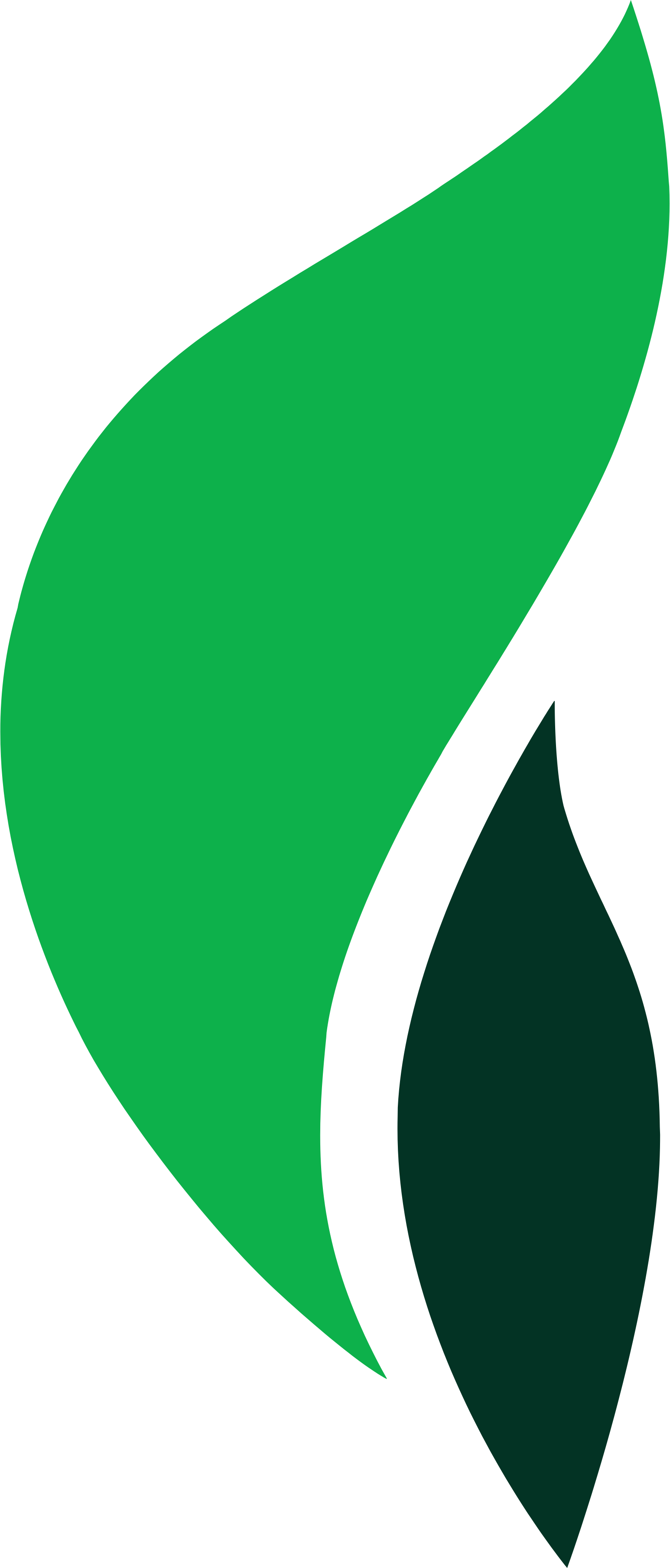 Navitas Petroleum logo (transparent PNG)