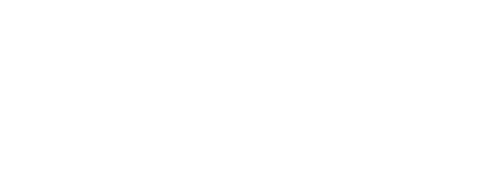 NVR logo for dark backgrounds (transparent PNG)