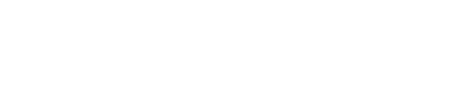 Newag logo grand pour les fonds sombres (PNG transparent)