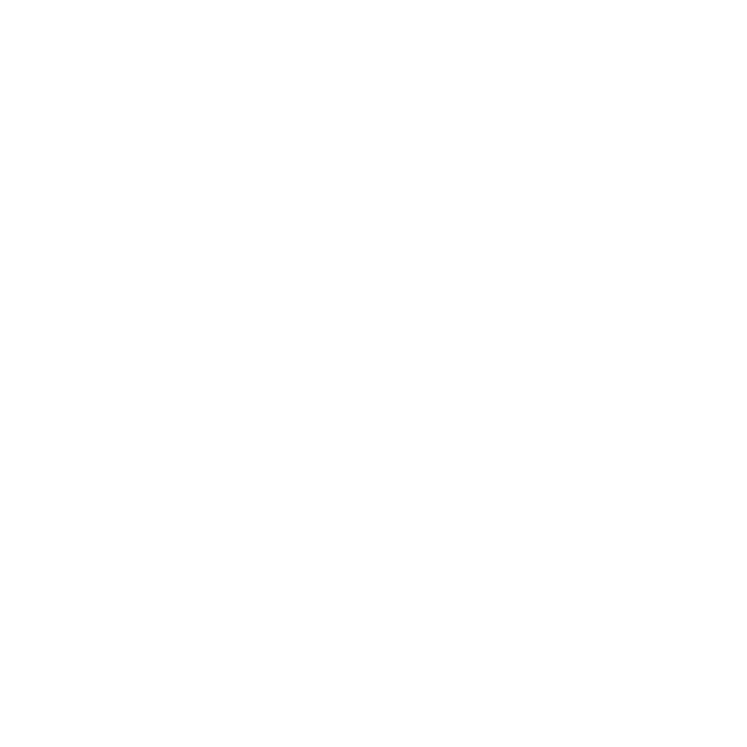 Netwealth logo for dark backgrounds (transparent PNG)