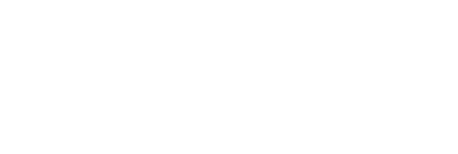 Netwealth Logo groß für dunkle Hintergründe (transparentes PNG)