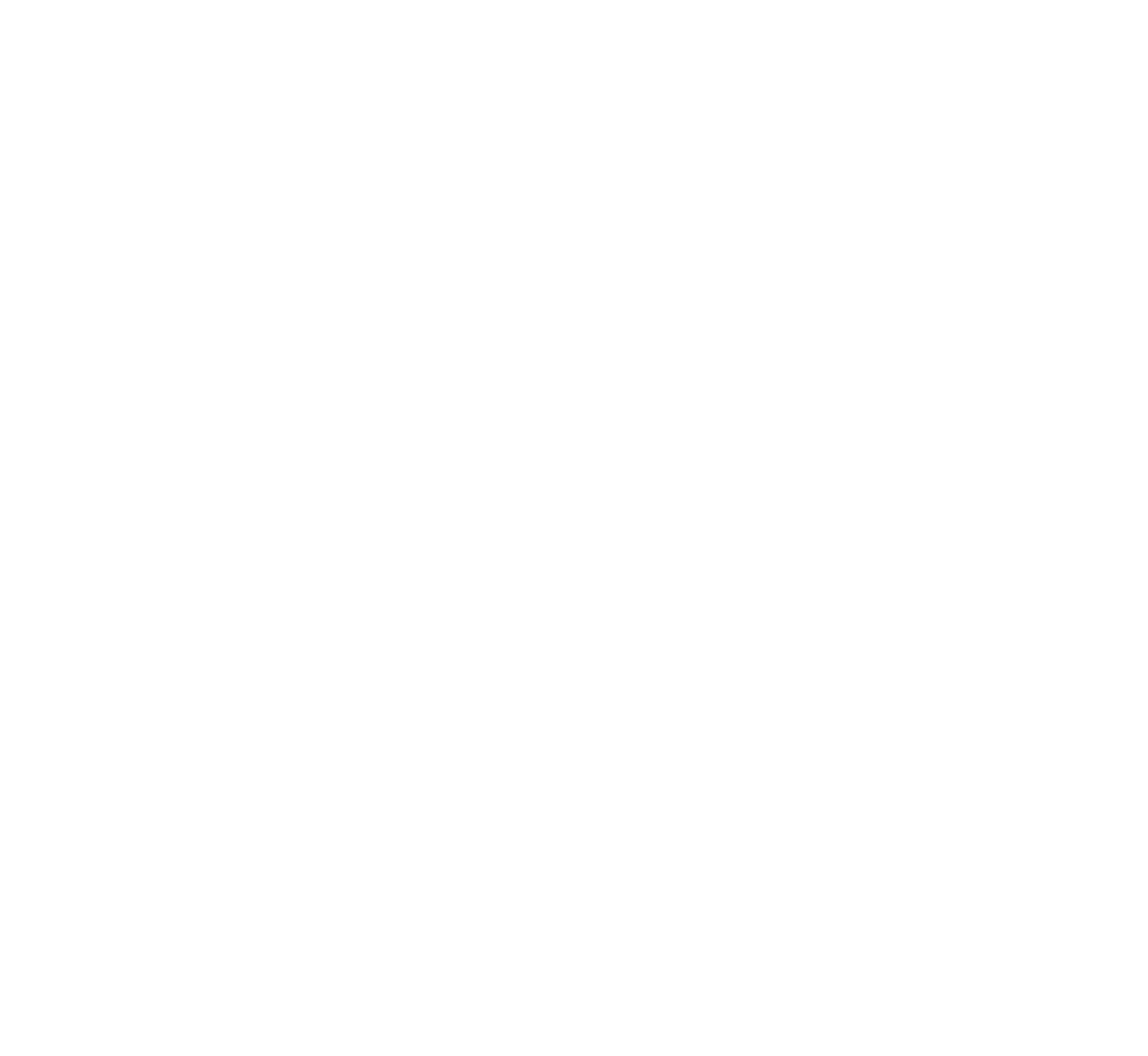 NewPrinces S.p.A. logo fulle size on a dark background (transparent PNG)