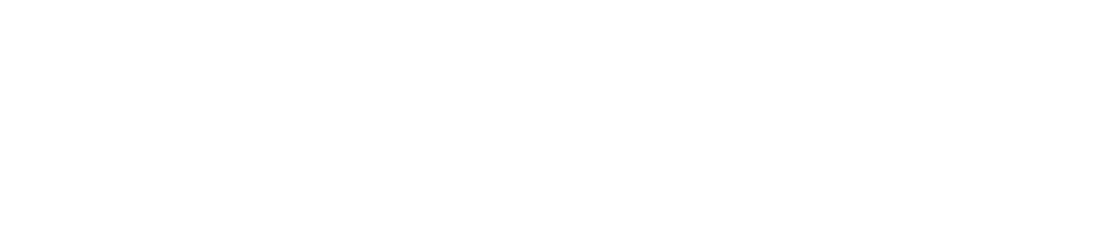 NW Natural
 logo large for dark backgrounds (transparent PNG)