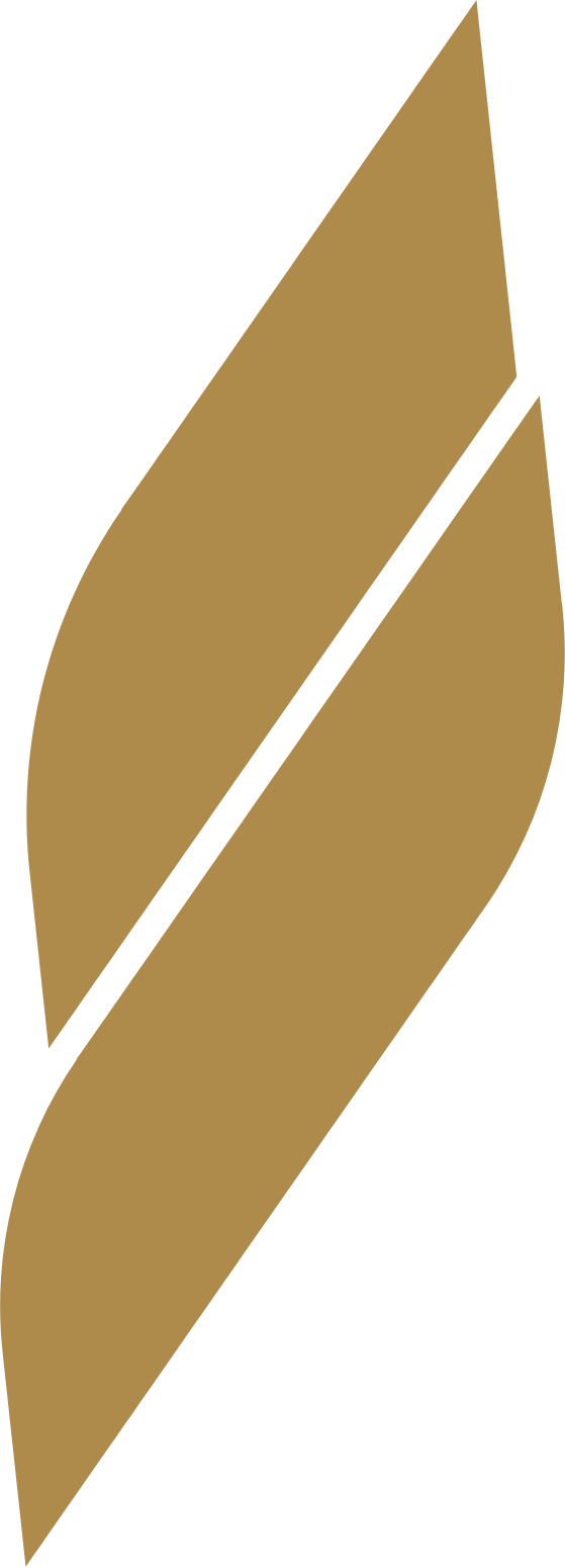 NWTN Inc. logo (PNG transparent)