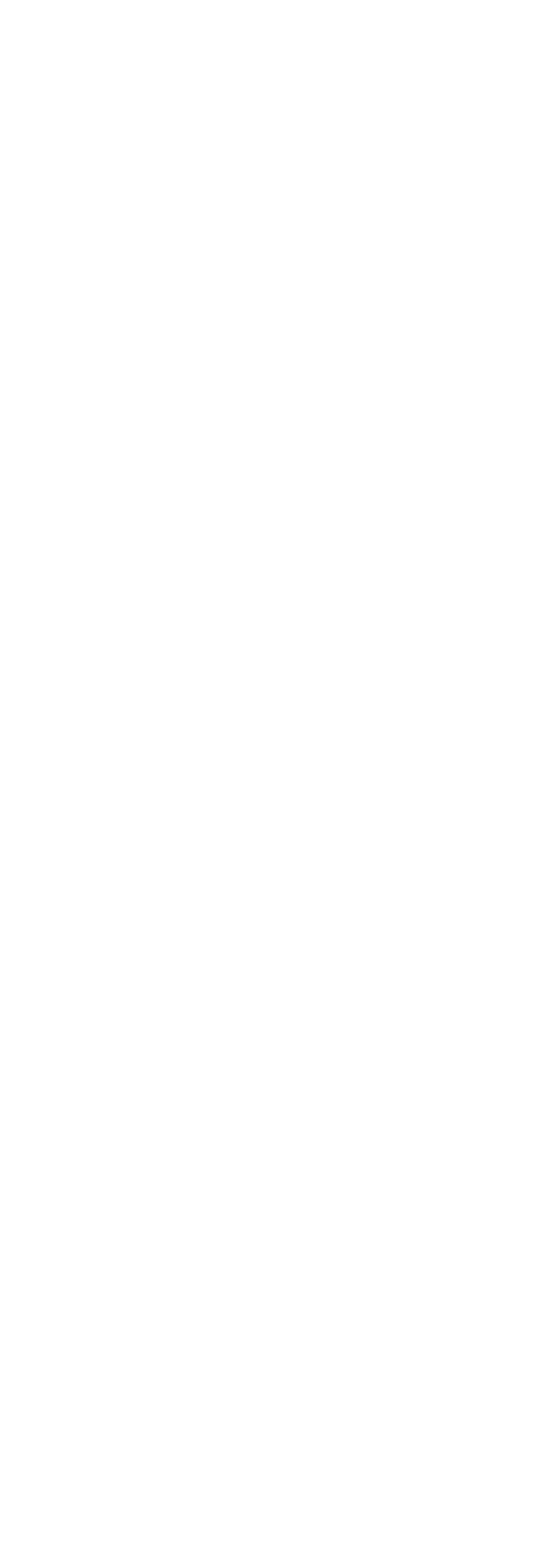 NWTN Inc. Logo für dunkle Hintergründe (transparentes PNG)
