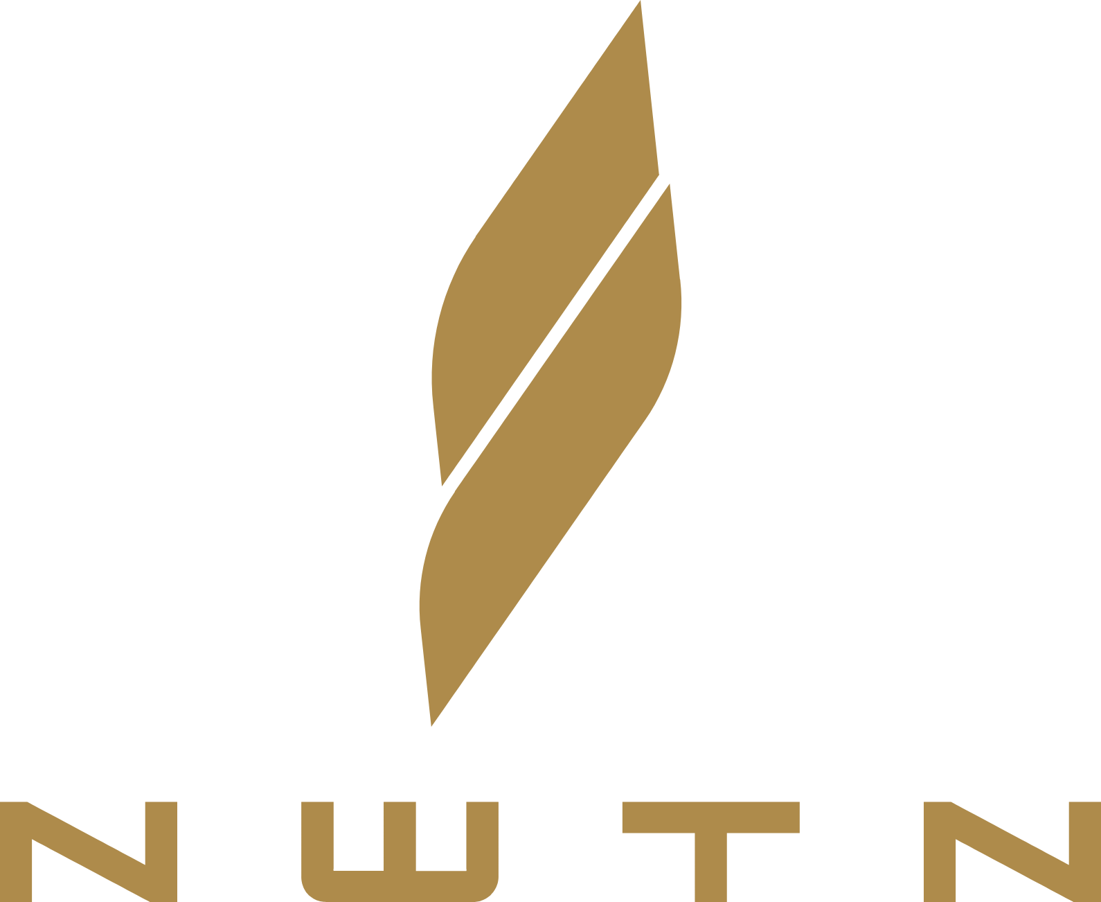 NWTN Inc. logo large (transparent PNG)