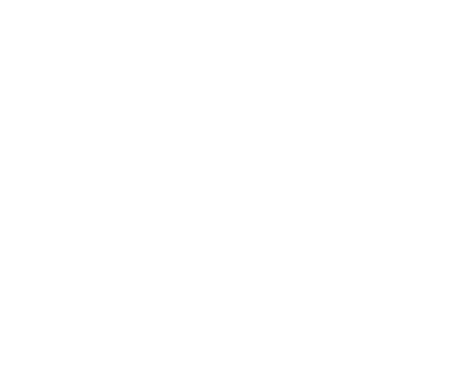 NWTN Inc. Logo groß für dunkle Hintergründe (transparentes PNG)