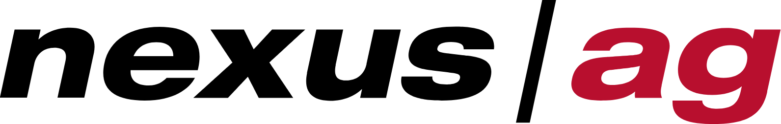 Nexus AG Logo (transparentes PNG)