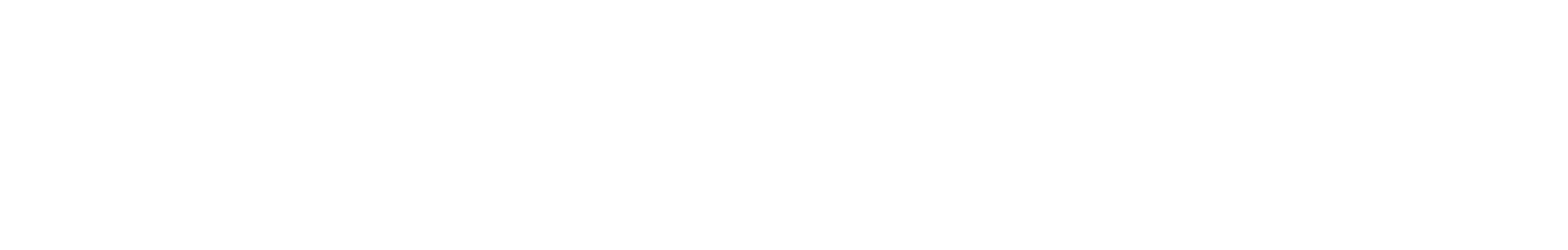 Nexus AG logo for dark backgrounds (transparent PNG)