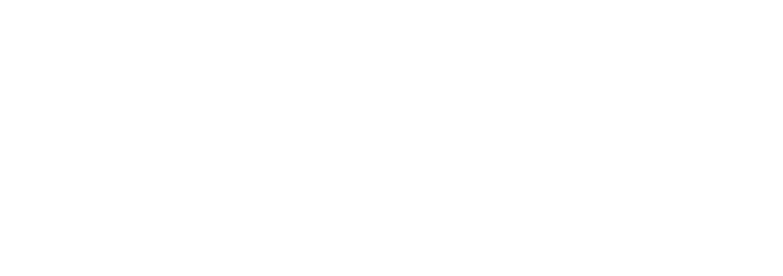 Nxu Logo groß für dunkle Hintergründe (transparentes PNG)