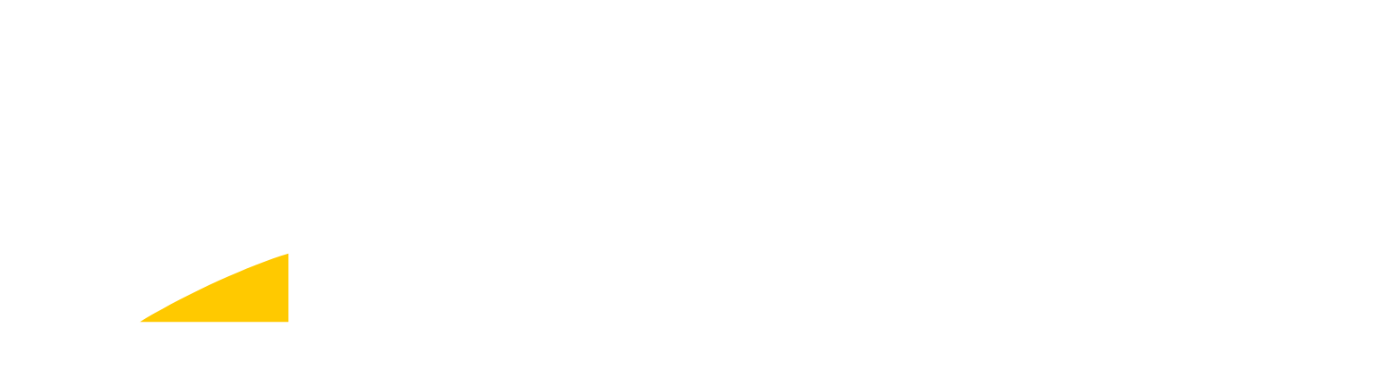 Nayax Logo groß für dunkle Hintergründe (transparentes PNG)