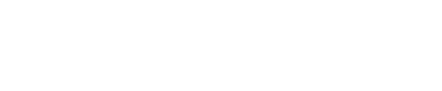 Omni Bridgeway Logo groß für dunkle Hintergründe (transparentes PNG)