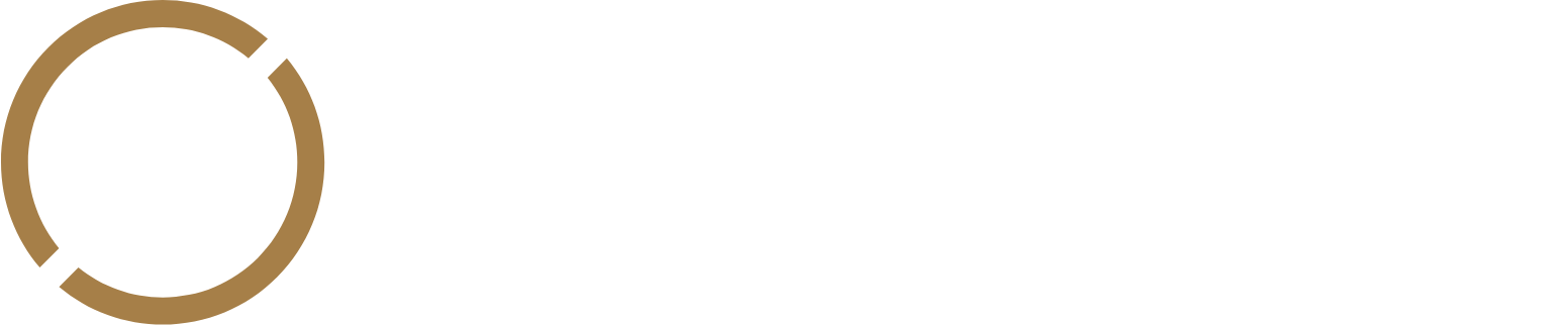 Omni Bridgeway logo fulle size on a dark background (transparent PNG)