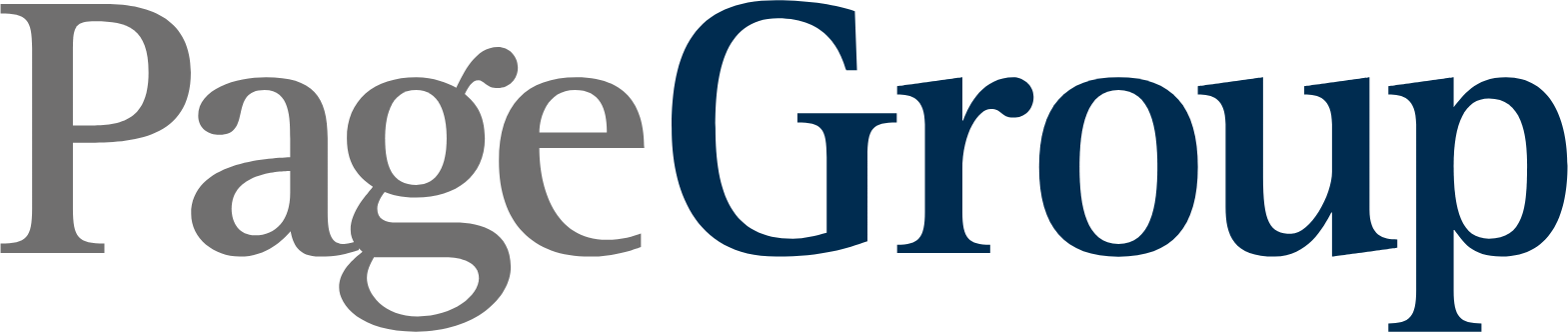 PageGroup logo large (transparent PNG)