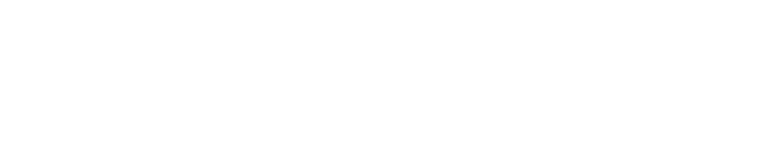 PageGroup logo grand pour les fonds sombres (PNG transparent)
