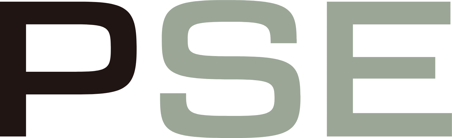 Porsche SE logo (PNG transparent)