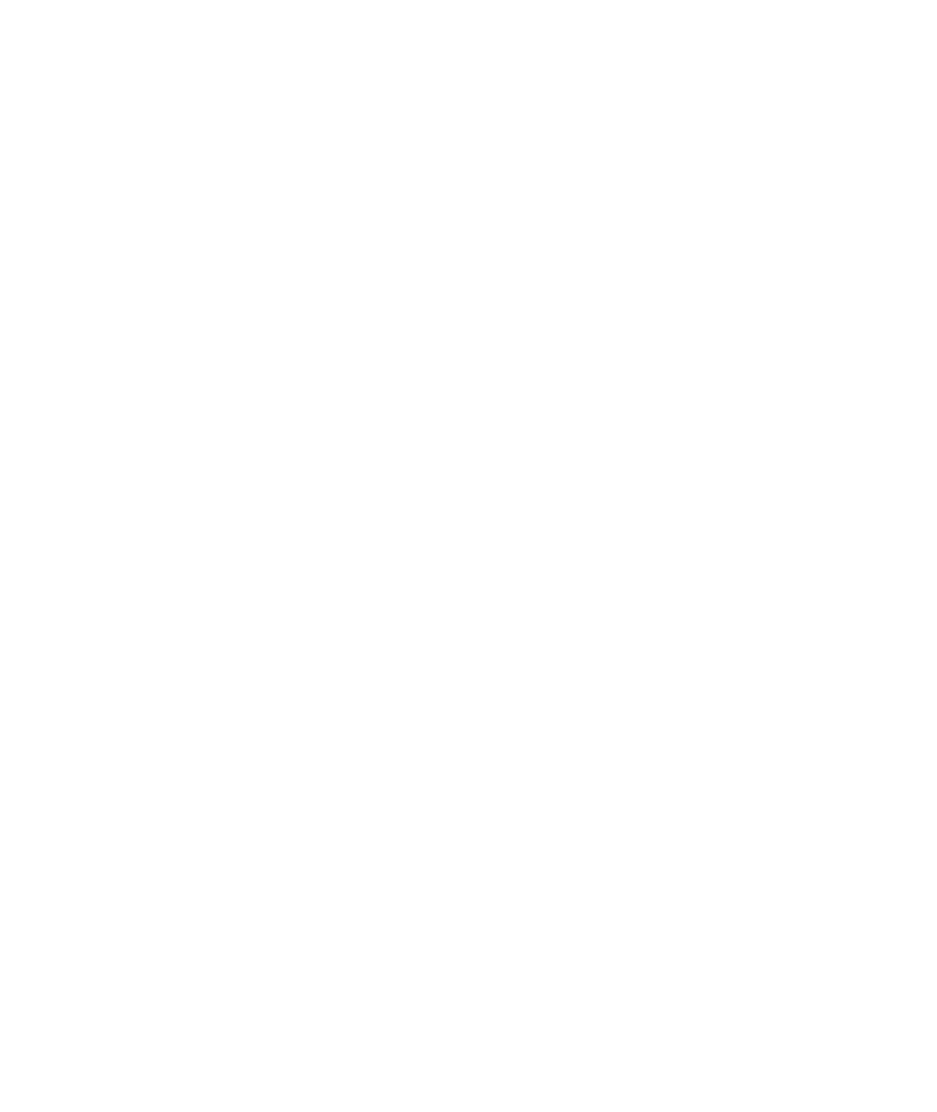 Porsche SE logo for dark backgrounds (transparent PNG)