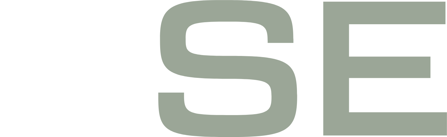 Porsche SE logo pour fonds sombres (PNG transparent)