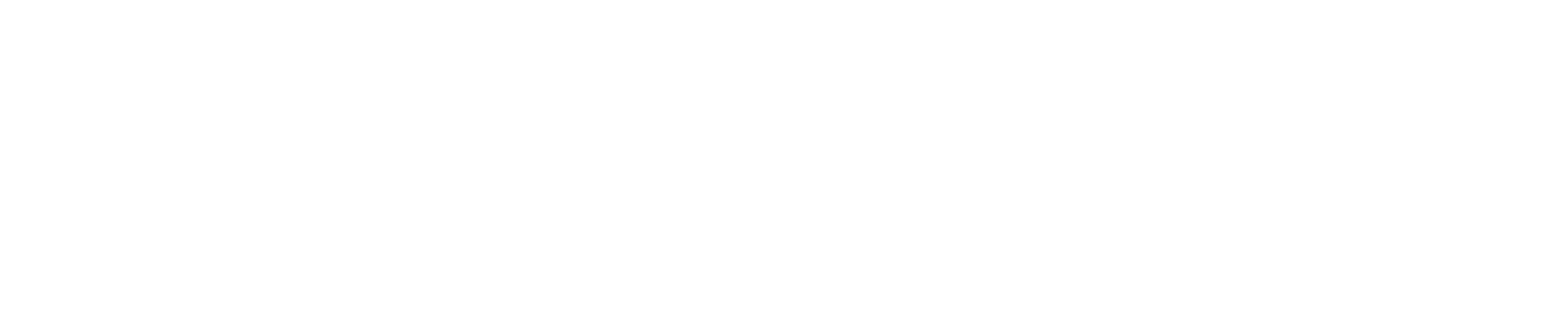 PAMT Corp Logo groß für dunkle Hintergründe (transparentes PNG)