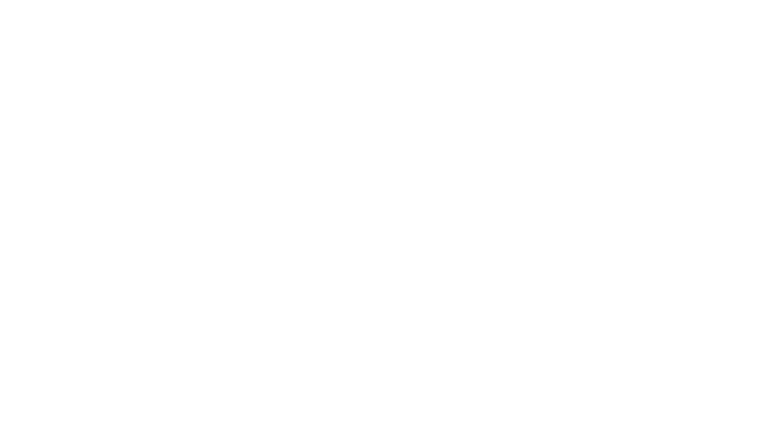 Pareto Bank Logo für dunkle Hintergründe (transparentes PNG)