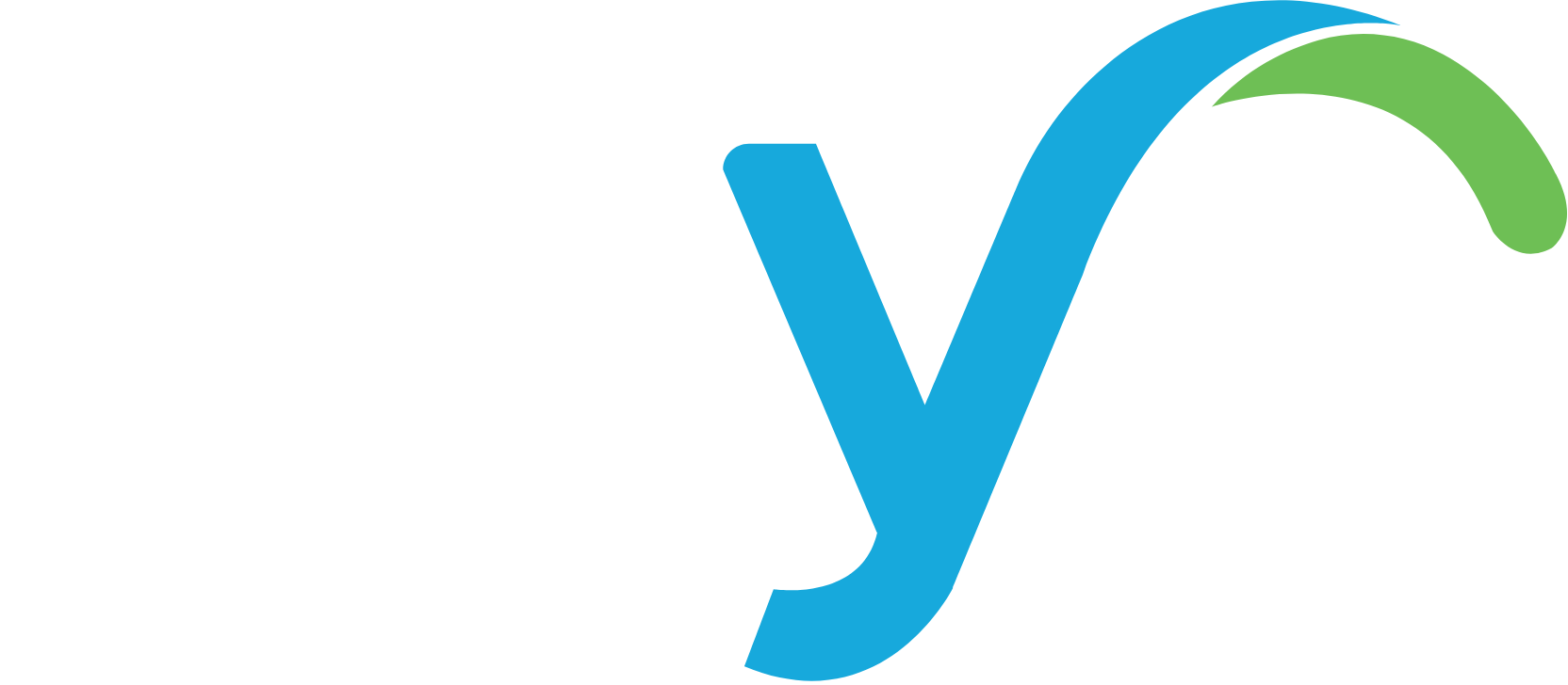 Paya logo in transparent PNG format