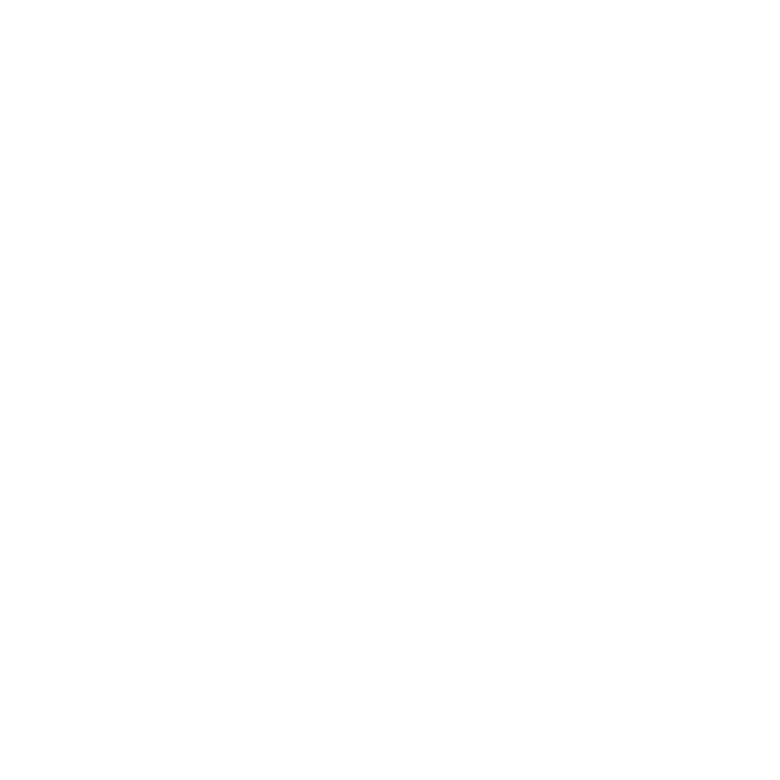 Paycom
 logo pour fonds sombres (PNG transparent)