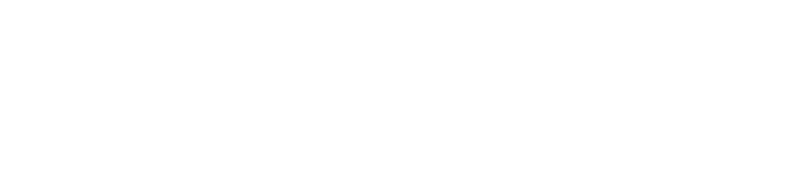Paycom
 Logo groß für dunkle Hintergründe (transparentes PNG)