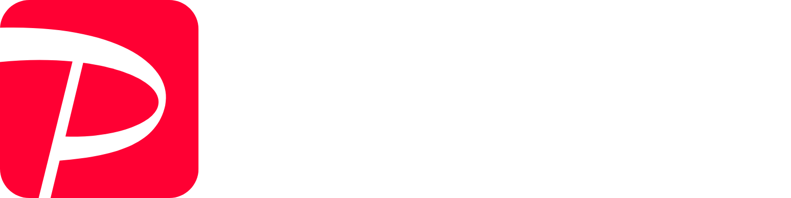 PayPay Corporation logo grand pour les fonds sombres (PNG transparent)