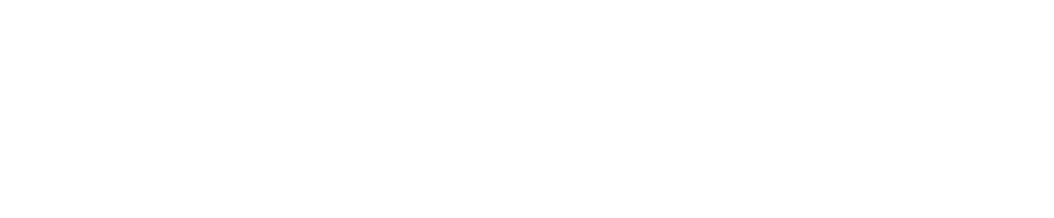 Paysign logo large for dark backgrounds (transparent PNG)
