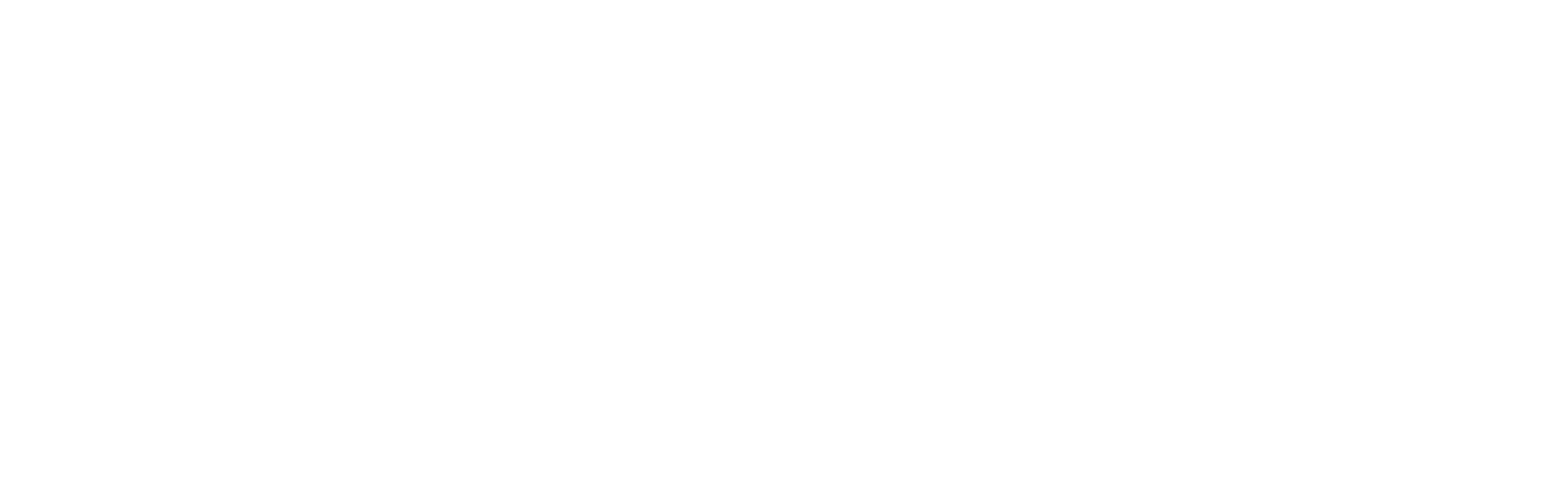 Paytm logo large for dark backgrounds (transparent PNG)