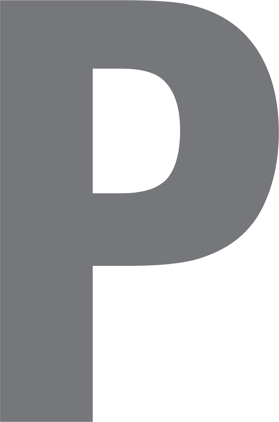 Pioneer Bancorp Logo (transparentes PNG)