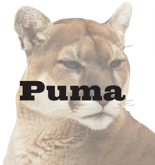 Puma Biotechnology logo (transparent PNG)