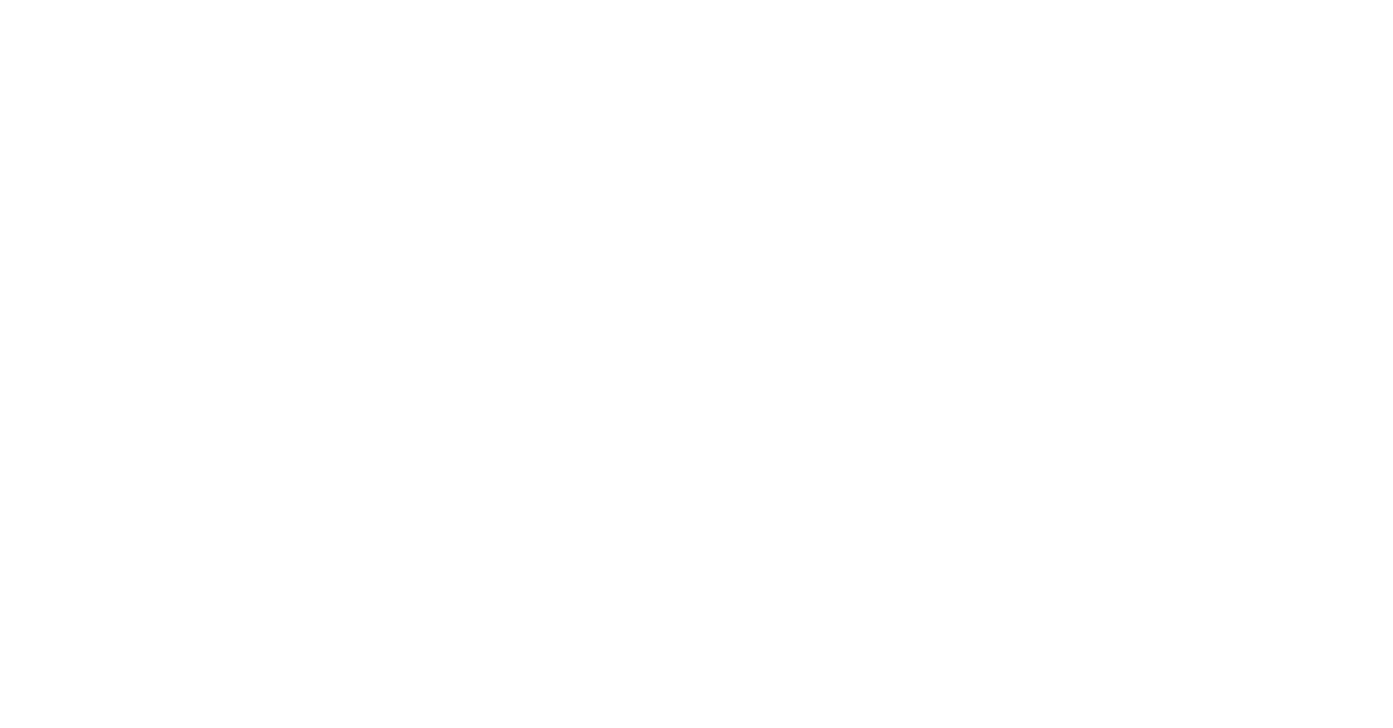 Pepco Group logo fulle size on a dark background (transparent PNG)