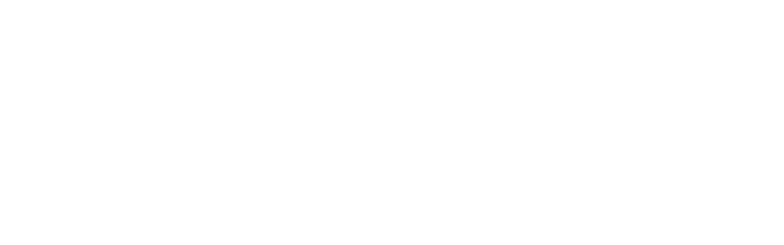 Pepco Group logo fulle size on a dark background (transparent PNG)