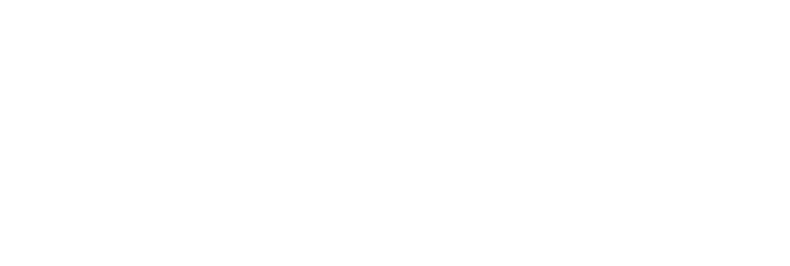ProCredit logo fulle size on a dark background (transparent PNG)