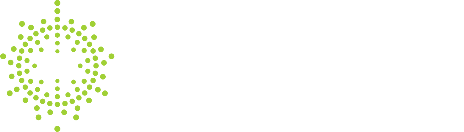 Paladin Energy Logo groß für dunkle Hintergründe (transparentes PNG)