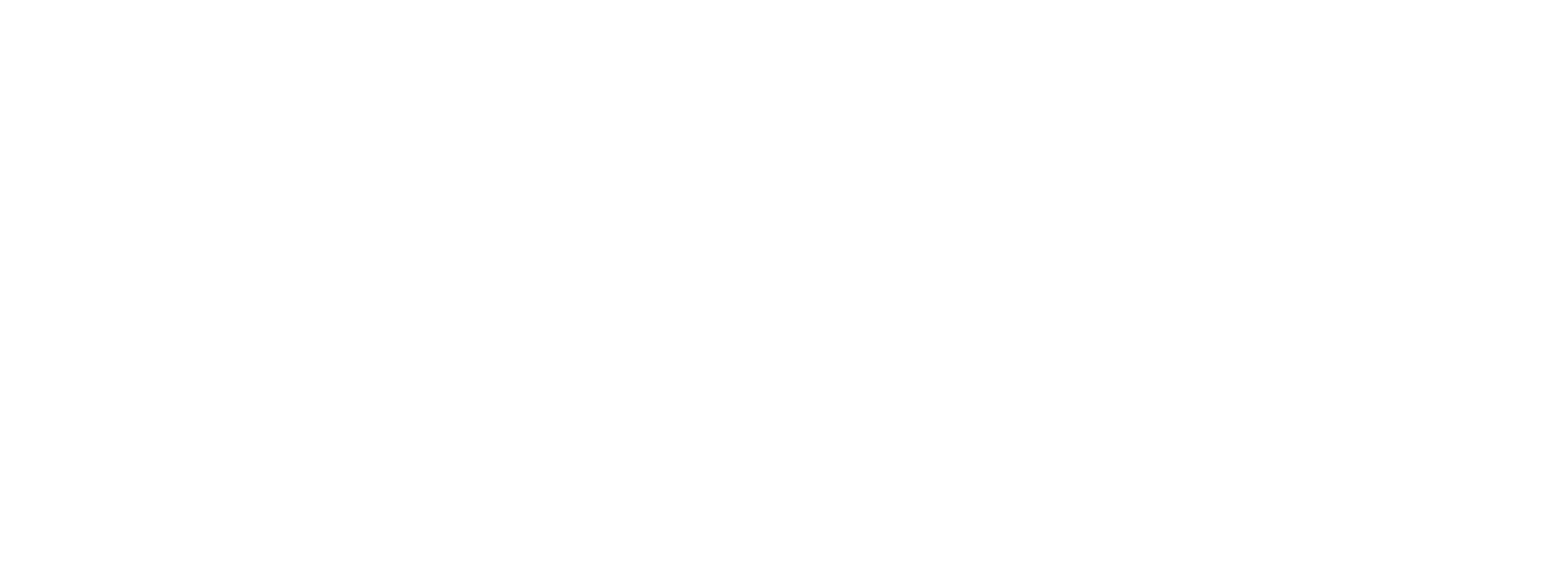 PDS Multinational Logo groß für dunkle Hintergründe (transparentes PNG)
