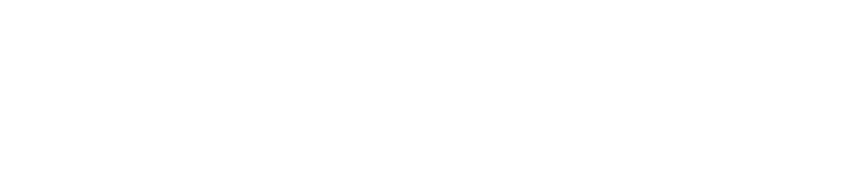 Paradox Interactive Logo groß für dunkle Hintergründe (transparentes PNG)