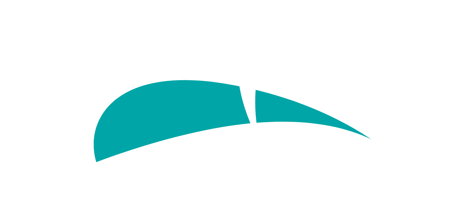 Pegasystems logo for dark backgrounds (transparent PNG)
