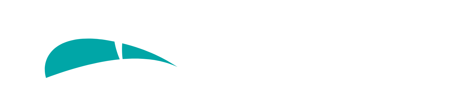 Pegasystems logo large for dark backgrounds (transparent PNG)